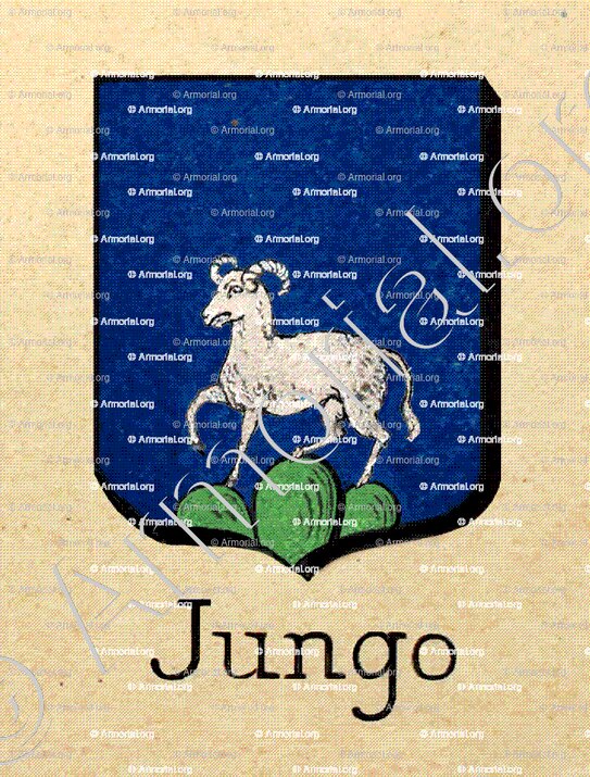 JUNGO_Fribourg_Suisse (3)