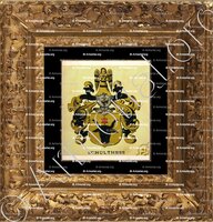 cadre-ancien-or-SCHULTHESS_Wappenbuch der Stadt Basel . B.Meyer Knaus 1880_Schweiz 