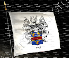 drapeau-ALLAERT_Brugge, Gent._België (1)