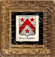 cadre-ancien-or-COLLIN de LAMINIERE_Berry, Bretagne, Marche._France