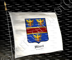 drapeau-ALLAERT_Brugge, Gent._België (2)