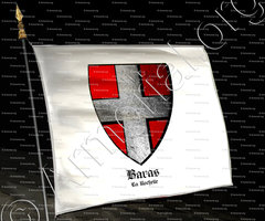 drapeau-BARAS_La Rochelle_France (i)