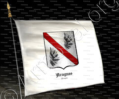 drapeau-ARAGUAS_Aragón_España (2)
