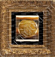 cadre-ancien-or-Charles-Emmanuel II de SAVOIE_Duc de Savoie, Prince de Piemont (1638-1675)_Etats de Savoie