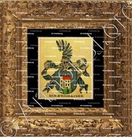 cadre-ancien-or-SCHWEIGHAUSER_Wappenbuch der Stadt Basel . B.Meyer Knaus 1880_Schweiz 