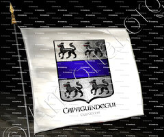 drapeau-CAPAGUINDEGUI_Guipúzcoa_España