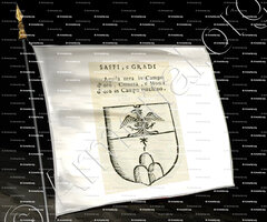 drapeau-SAFFI e GRADI_Forli, Romagna._Italia