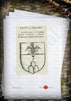 velin-d-Arches-SAFFI e GRADI_Forli, Romagna._Italia