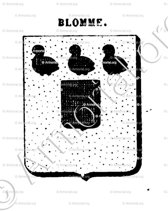 BLOMME__Gent (Gand)_België (Belgique)