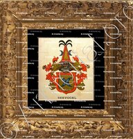 cadre-ancien-or-SEEVOGEL_Wappenbuch der Stadt Basel . B.Meyer Knaus 1880_Schweiz 