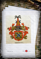 velin-d-Arches-SEEVOGEL_Wappenbuch der Stadt Basel . B.Meyer Knaus 1880_Schweiz 