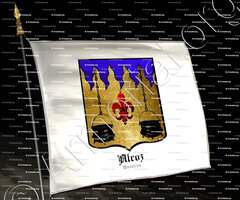 drapeau-ALCOZ_Navarra_España