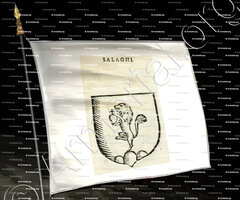 drapeau-SALAGHI_Forli, Romagna._Italia