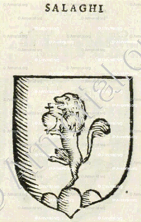 SALAGHI_Forli, Romagna._Italia