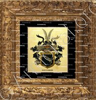 cadre-ancien-or-SEGISER_Wappenbuch der Stadt Basel . B.Meyer Knaus 1880_Schweiz 