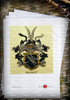 velin-d-Arches-SEGISER_Wappenbuch der Stadt Basel . B.Meyer Knaus 1880_Schweiz 