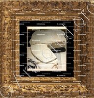 cadre-ancien-or-SAVOIE & BROSSE-PENTHIEVE_Château des ducs de Savoie, Chambéry_France