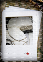 velin-d-Arches-SAVOIE & BROSSE-PENTHIEVE_Château des ducs de Savoie, Chambéry_France