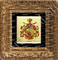 cadre-ancien-or-SEIDEL_Wappenbuch der Stadt Basel . B.Meyer Knaus 1880_Schweiz 