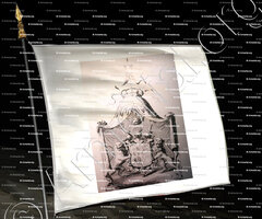 drapeau-SAVOIE 1630_armoiries Savoie, 1630._Etats de Savoie (1)