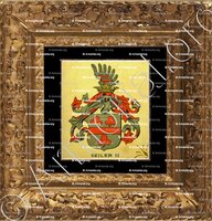 cadre-ancien-or-SEILER_Wappenbuch der Stadt Basel . B.Meyer Knaus 1880_Schweiz 