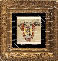 cadre-ancien-or-BRANDI_Firenze_Italia (1)