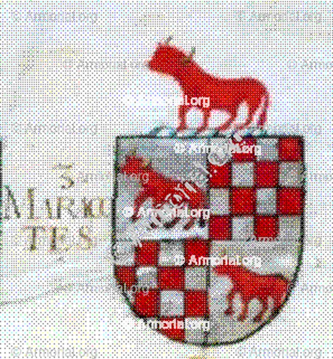 MARACOTES_Portugal_Portugal