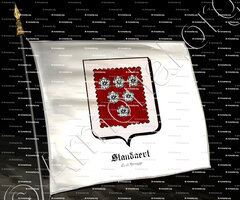 drapeau-STANDAERT_Gent Brugge_België (3)