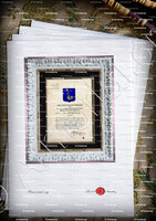 velin-d-Arches-CLEMENCEAU_Poitou. Brevet d'armoiries 1696_France (i)