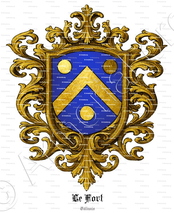 Le FORT_Gâtinais_France (1)