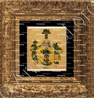 cadre-ancien-or-SEUL_Wappenbuch der Stadt Basel . B.Meyer Knaus 1880_Schweiz 