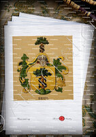 velin-d-Arches-SEUL_Wappenbuch der Stadt Basel . B.Meyer Knaus 1880_Schweiz 