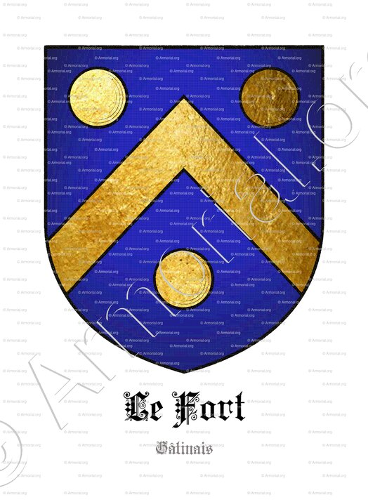 Le FORT_Gâtinais_France (2)+ copie