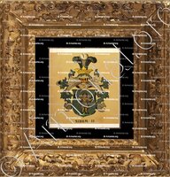 cadre-ancien-or-SIBER_Wappenbuch der Stadt Basel . B.Meyer Knaus 1880_Schweiz 