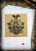 velin-d-Arches-SIBER_Wappenbuch der Stadt Basel . B.Meyer Knaus 1880_Schweiz 