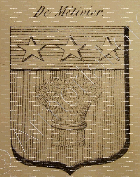 DE METIVIER_Auvergne_France