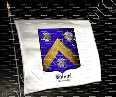drapeau-LAISNE_Normandie_France (i)