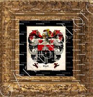 cadre-ancien-or-LLYOD_Wales_United Kingdom of Great Britain (++)