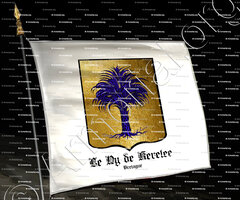 drapeau-LE NY de KERLEE_Bretagne_France (i)