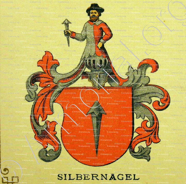 SILBERNAGEL_Wappenbuch der Stadt Basel . B.Meyer Knaus 1880_Schweiz 