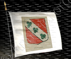 drapeau-GOETZMAN_Alsace, Armorial de France (Ch; d'Hozier, 1696-1710)._France