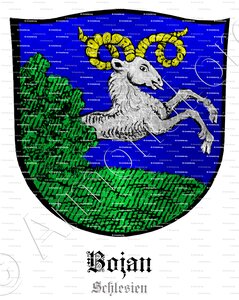 BOJAN