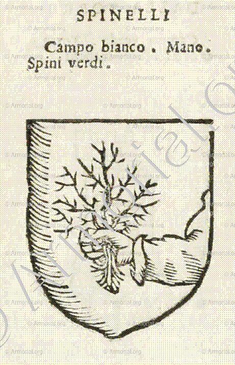 SPINELLI_Forli, Romagna._Italia