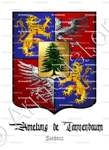 AMELUNG DE TANNENBAUM