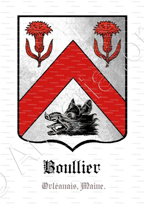 BOULLIER_Orléanais, Maine._France (2)