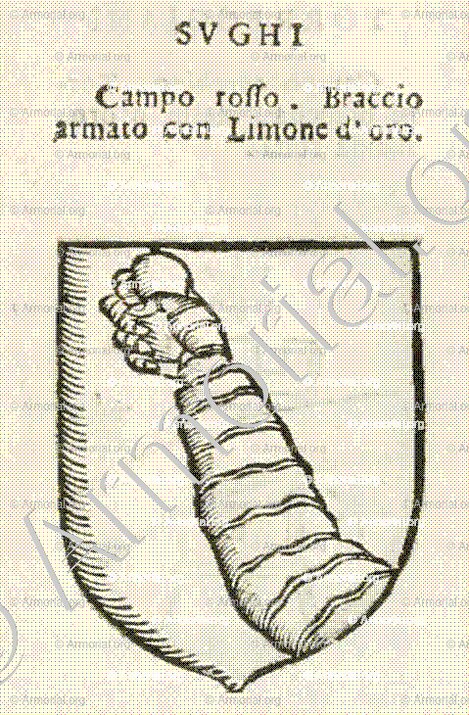 SUGHI_Forli, Romagna._Italia