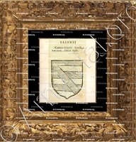 cadre-ancien-or-TALENTI_Forli, Romagna._Italia