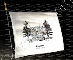 drapeau-GARREAU_Paris, Île-de-France._France