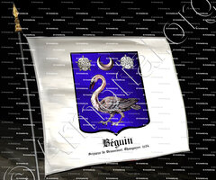 drapeau-BEGUIN_Seigneur de Branscourt. Champagne. 1534._France (i)
