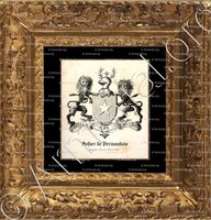 cadre-ancien-or-SOHIER DE VERMANDOIS_Barons et Chevaliers de Le Heries_Belgique, France, Etats-Unis